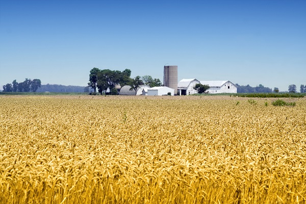 farm-property-taxes-part-i-agricultural-economic-insights